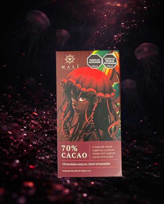 Chocolate Oscuro 70%